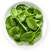 Spinach leaves featured in a white bowl, ideal for owning a smoothie shop.