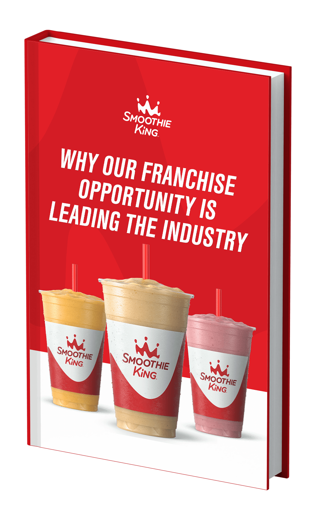 Download our E-book: Why Our Franchise Opportunity Is Leading The Industry?